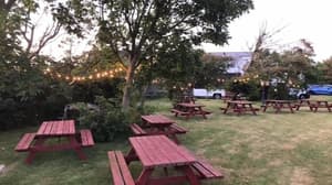 thumbnail: Garden