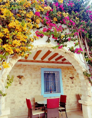 thumbnail: Terrace/patio