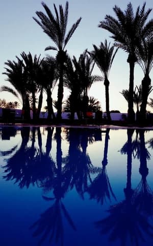 thumbnail: Outdoor pool