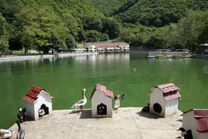 thumbnail: Lake
