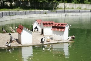 thumbnail: Lake