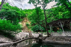 thumbnail: Garden