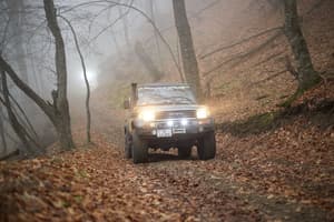 thumbnail: Ecotours