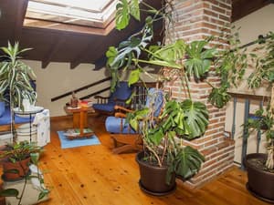 thumbnail: Interior