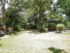 thumbnail: Garden view