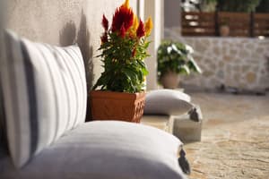 thumbnail: Terrace/patio