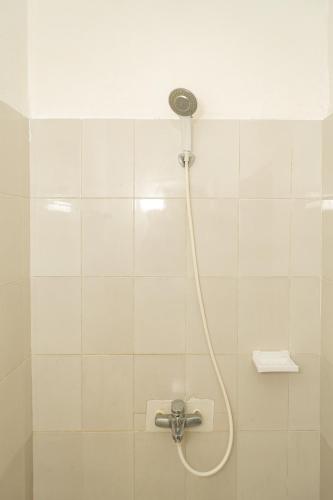 537116375.jpg
