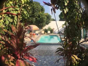 thumbnail: Garden view