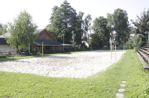 8176555.jpg