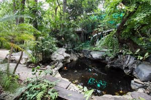 thumbnail: Garden