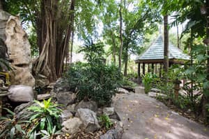 thumbnail: Garden