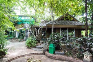 thumbnail: Garden