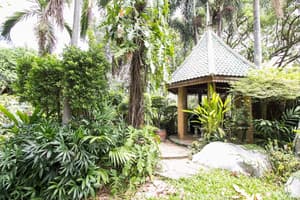thumbnail: Garden