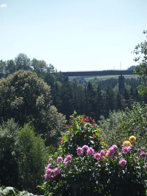 thumbnail: Garden