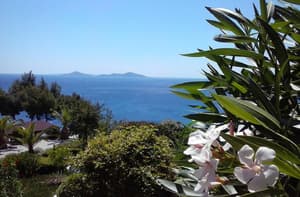thumbnail: Beach/ocean view