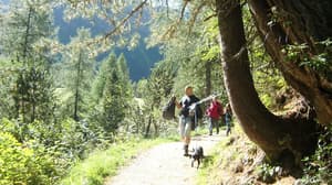 thumbnail: Hiking