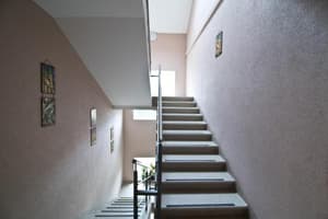 thumbnail: 113438606.jpg