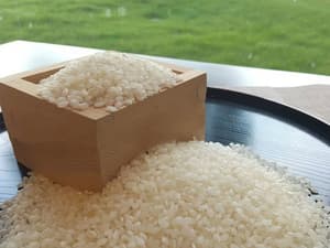 thumbnail: Breakfast meal