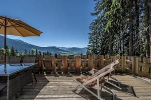 thumbnail: Terrace/patio
