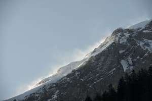 thumbnail: General view