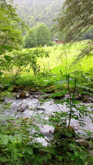thumbnail: General view