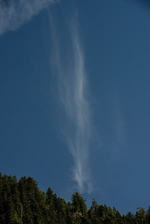 thumbnail: General view