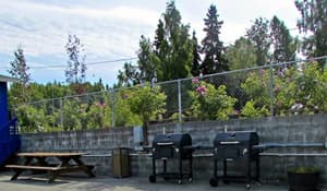 thumbnail: Garden