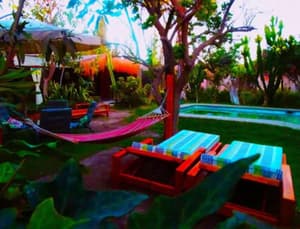 thumbnail: General view