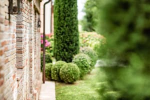 thumbnail: Property grounds