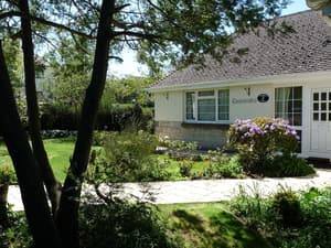 thumbnail: Interior