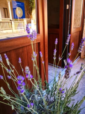 thumbnail: Exterior detail