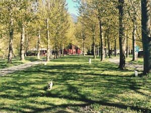 thumbnail: Garden