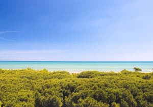 thumbnail: Beach