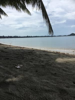 thumbnail: Beach