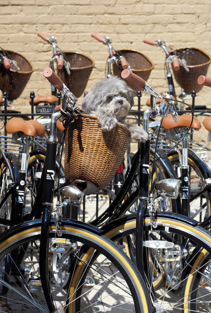 Bicycling