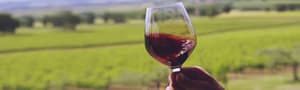 thumbnail: Winery