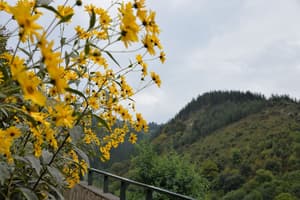 thumbnail: Mountain view