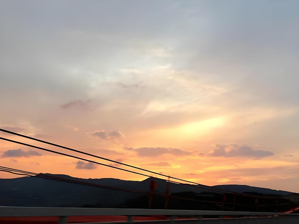 91760acd09d6b48475574d925158cbd3.jpeg