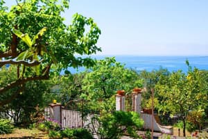 thumbnail: General view