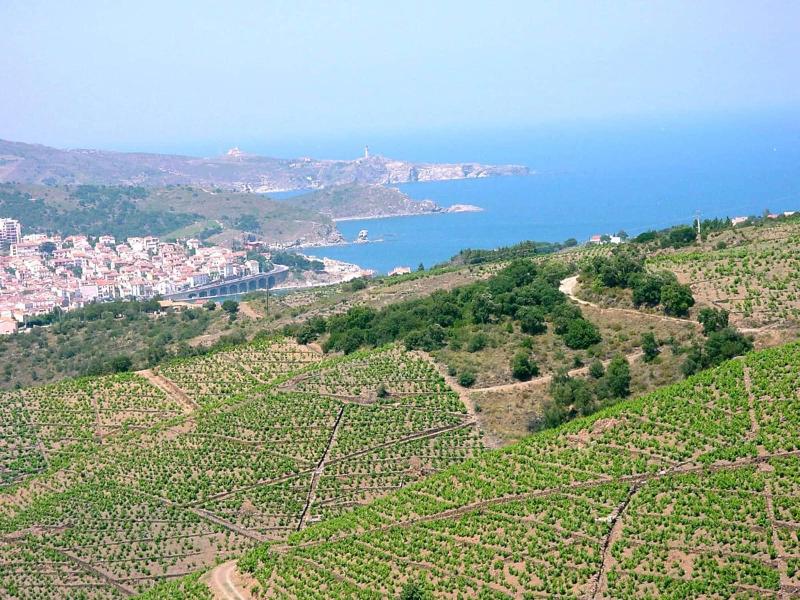 General view