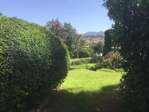 thumbnail: General view