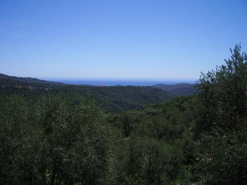 73069206.jpg