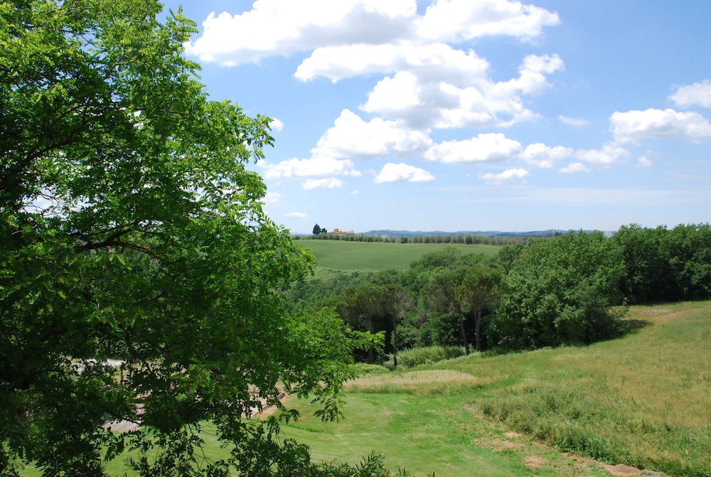 Park view