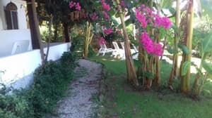 thumbnail: Garden