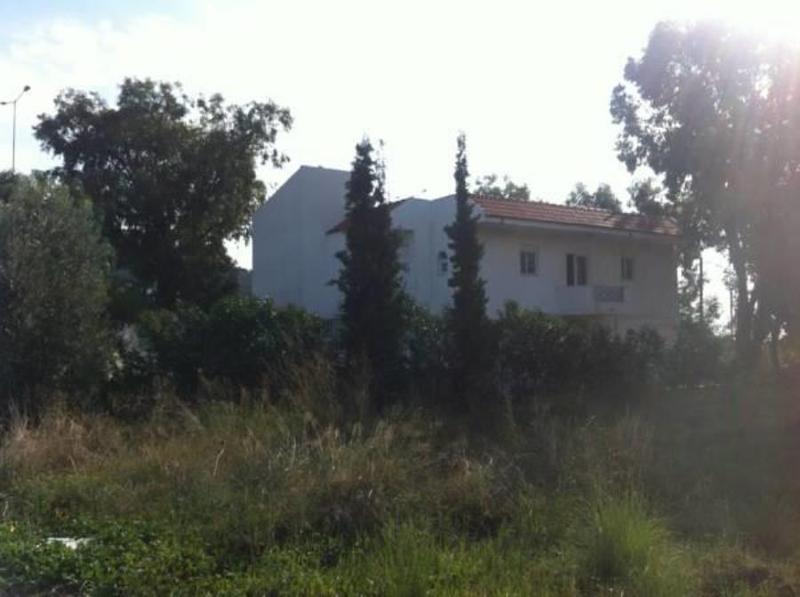 General view