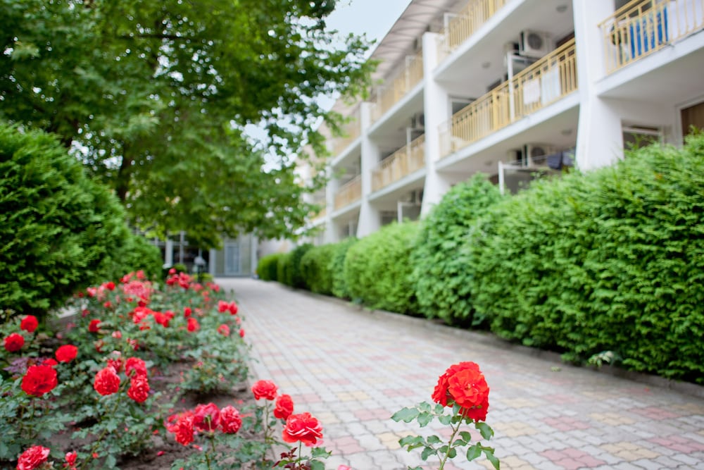 Courtyard view