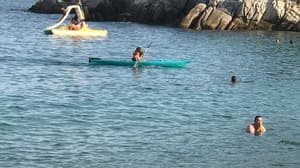 thumbnail: Kayaking