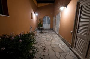 thumbnail: 891518862.jpg