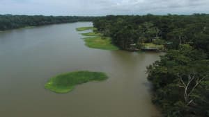 thumbnail: Aerial view