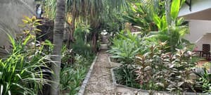 thumbnail: Garden